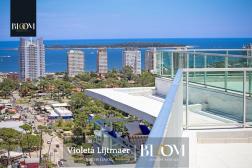 Gala Vista