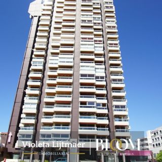 El Torreón