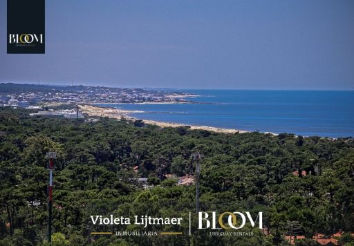 Gala Vista