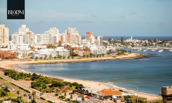 Espléndido apartamento de 2 Domitorios